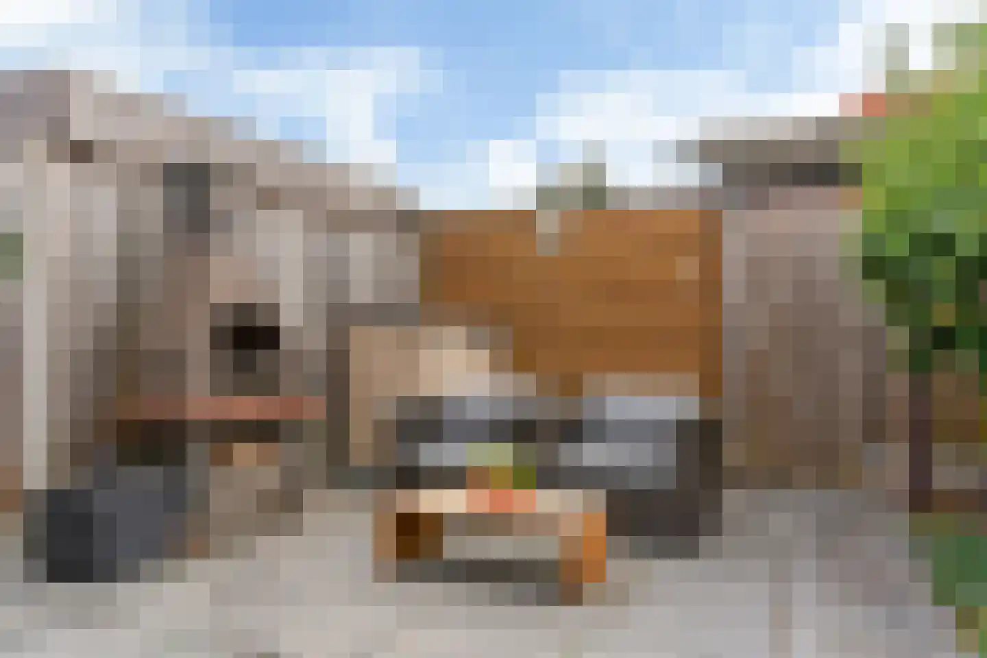 Riesenberg 45 De Meern thumbnail 36