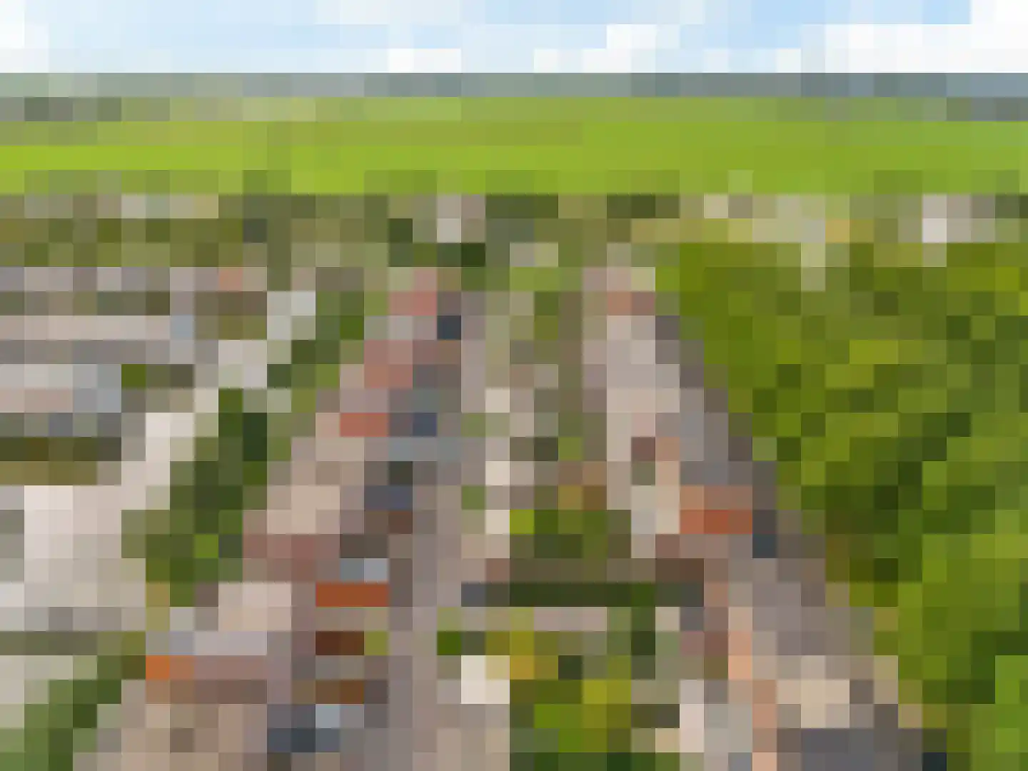 Riesenberg 45 De Meern thumbnail 42