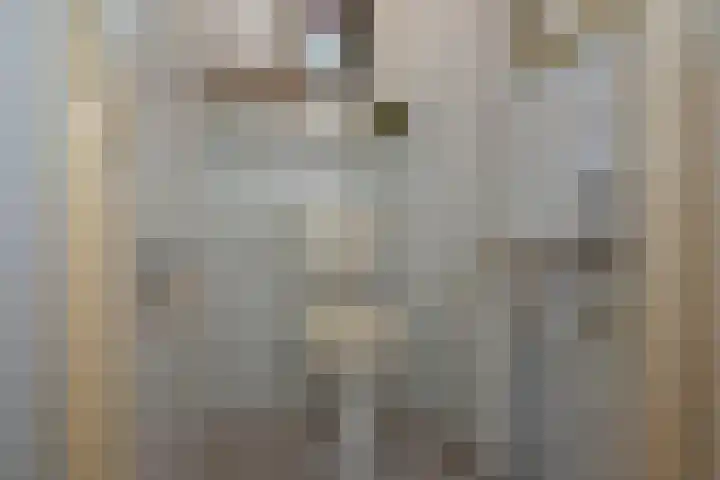 Riesmankamp 4 Enschede thumbnail 11