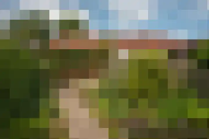 Riesmankamp 4 Enschede thumbnail 21