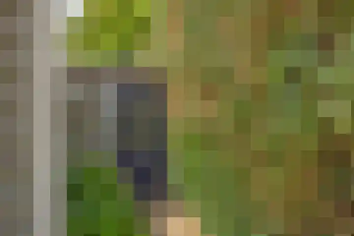 Riesmankamp 4 Enschede thumbnail 22