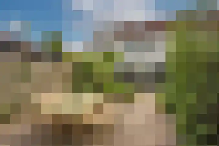 Riesmankamp 4 Enschede thumbnail 26