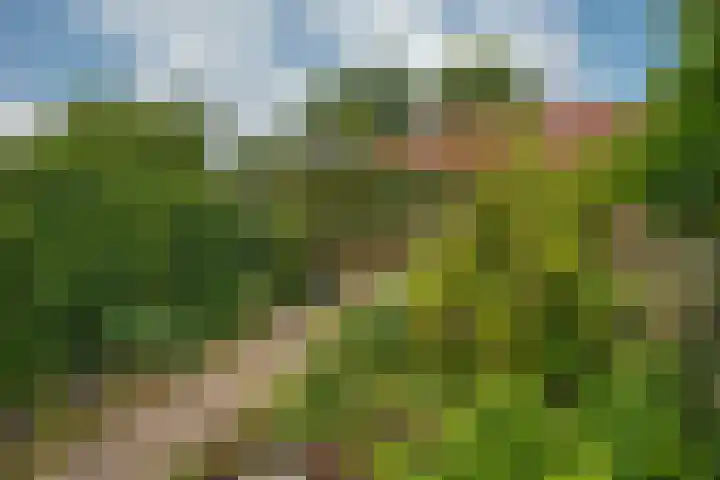 Riesmankamp 4 Enschede thumbnail 4