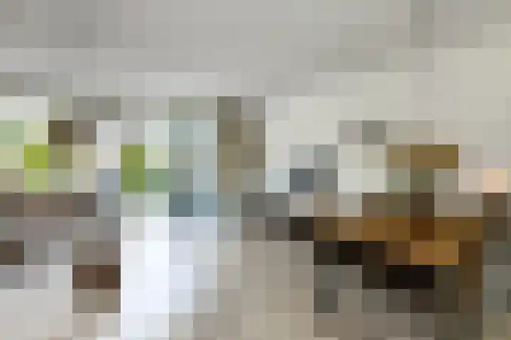 Riet 11 Elst thumbnail 10
