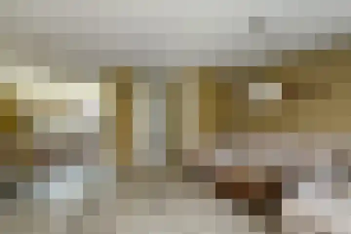 Riet 11 Elst thumbnail 14