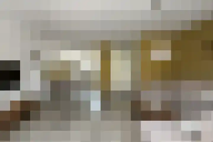 Riet 11 Elst thumbnail 15