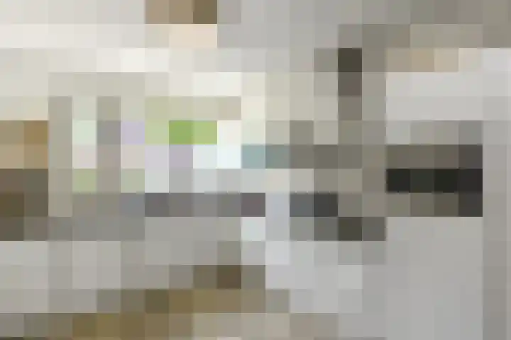 Riet 11 Elst thumbnail 17