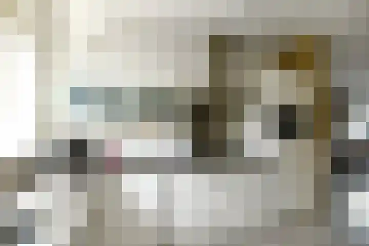 Riet 11 Elst thumbnail 18