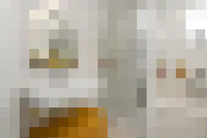Riet 11 Elst thumbnail 23