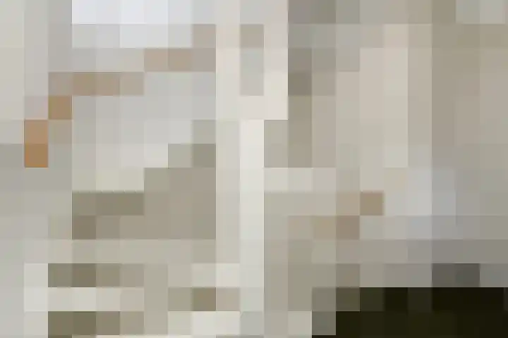 Riet 11 Elst thumbnail 25