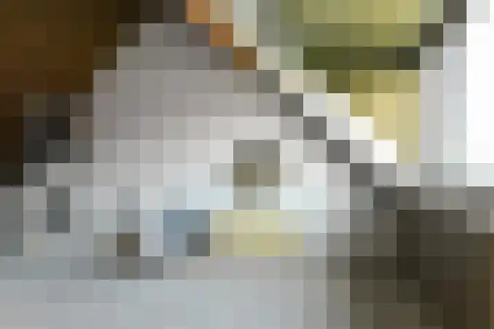 Riet 11 Elst thumbnail 27