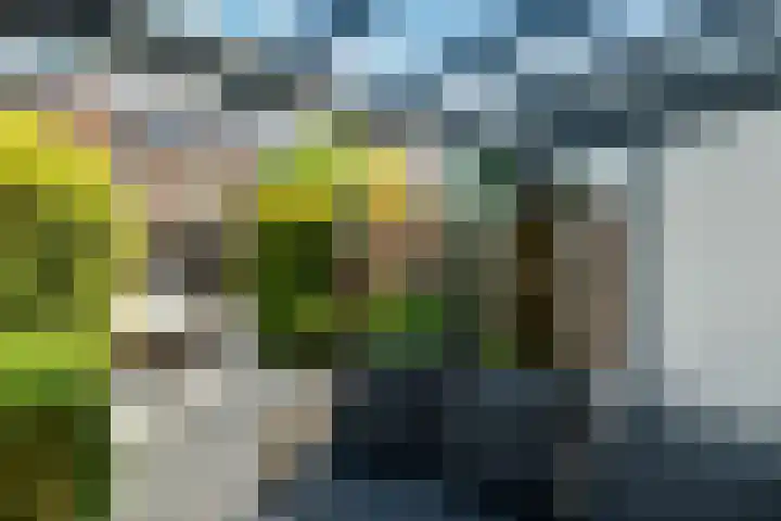 Riet 11 Elst thumbnail 29