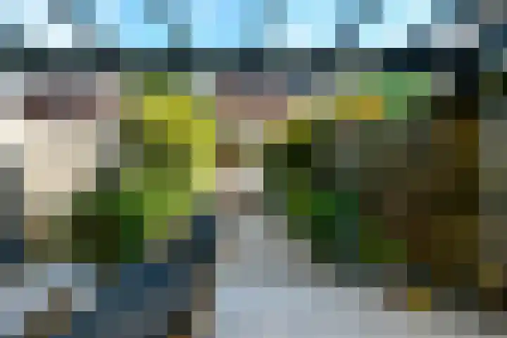 Riet 11 Elst thumbnail 30
