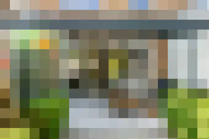 Riet 11 Elst thumbnail 32