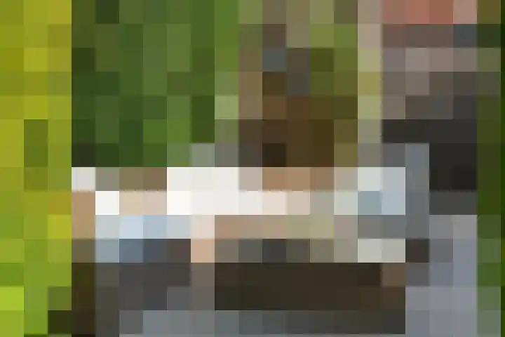 Riet 11 Elst thumbnail 33
