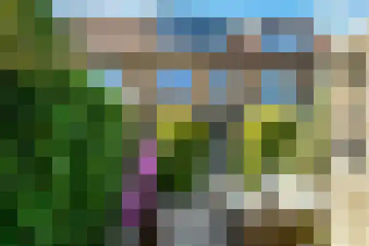 Riet 11 Elst thumbnail 34
