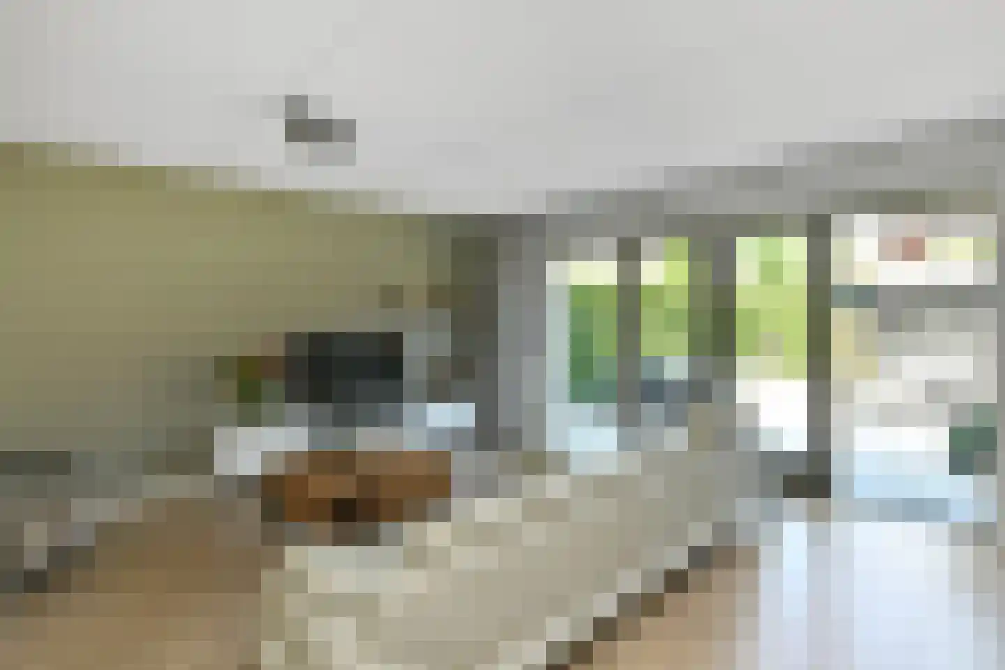 Riet 3 Elst thumbnail 13