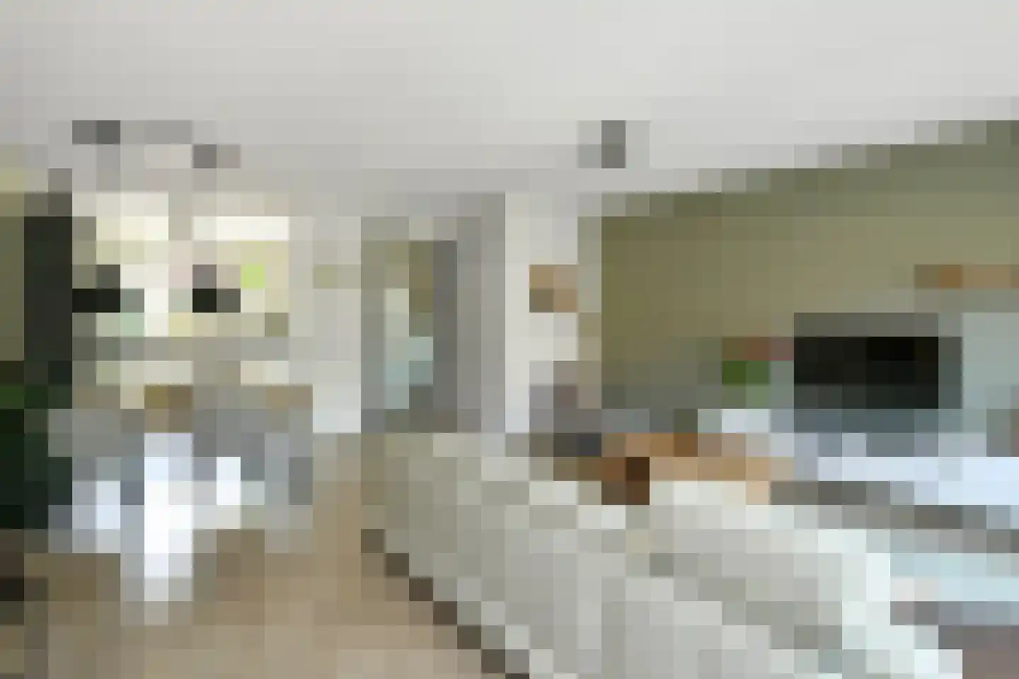 Riet 3 Elst thumbnail 14