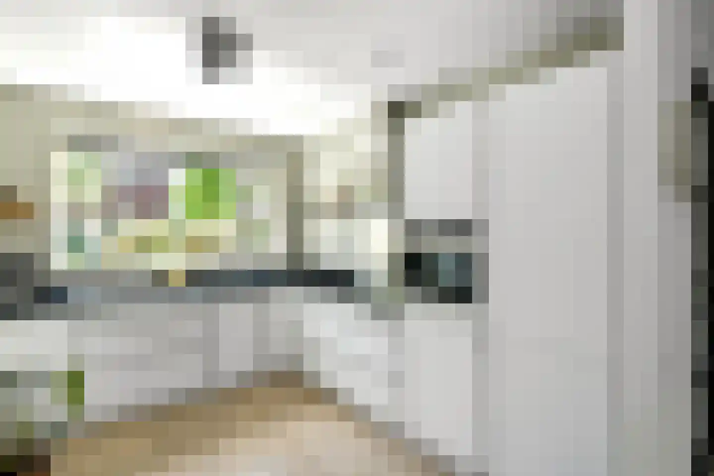 Riet 3 Elst thumbnail 17