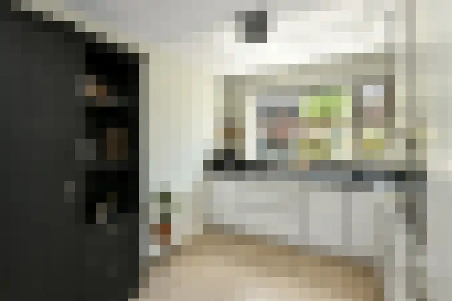 Riet 3 Elst thumbnail 18