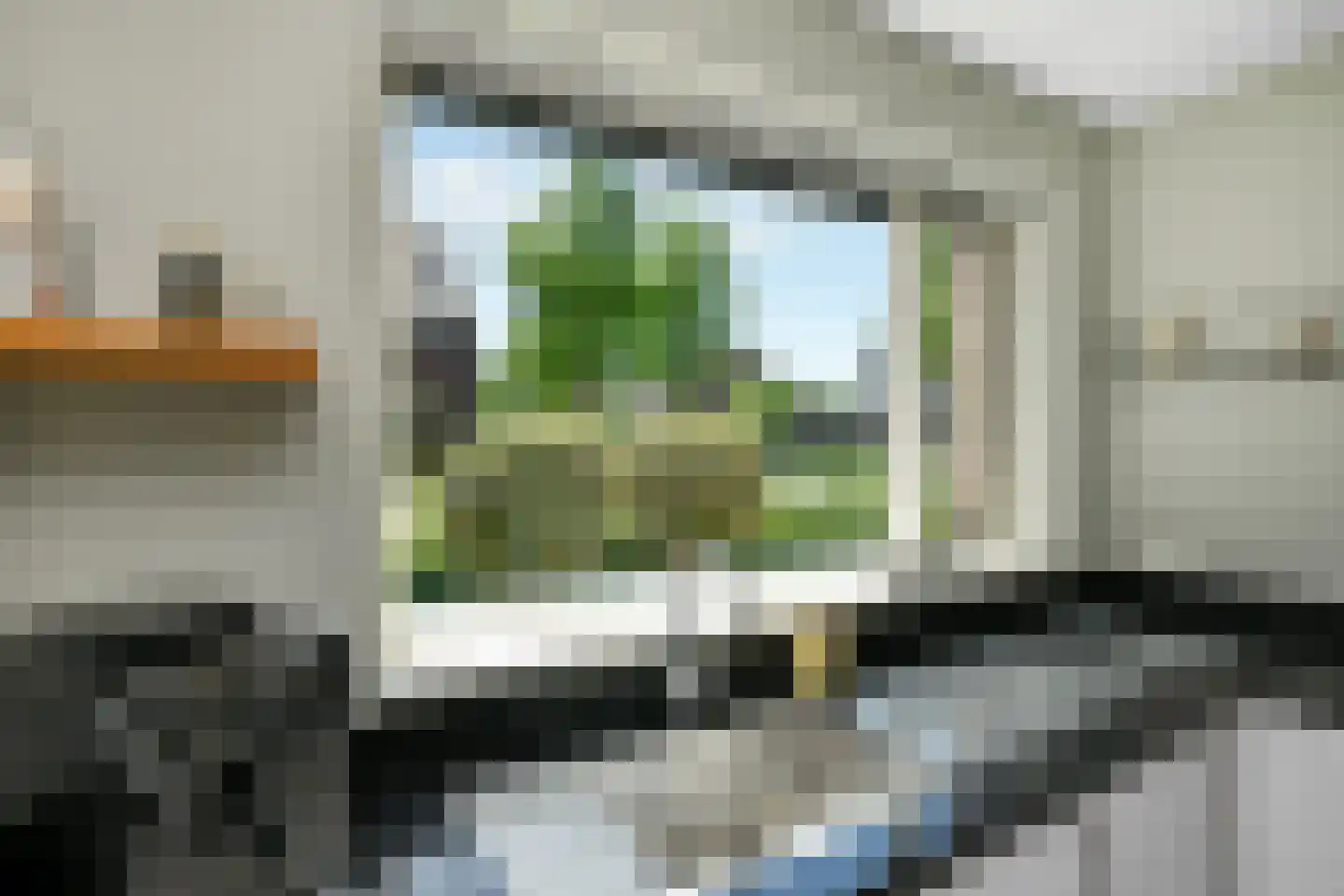 Riet 3 Elst thumbnail 21