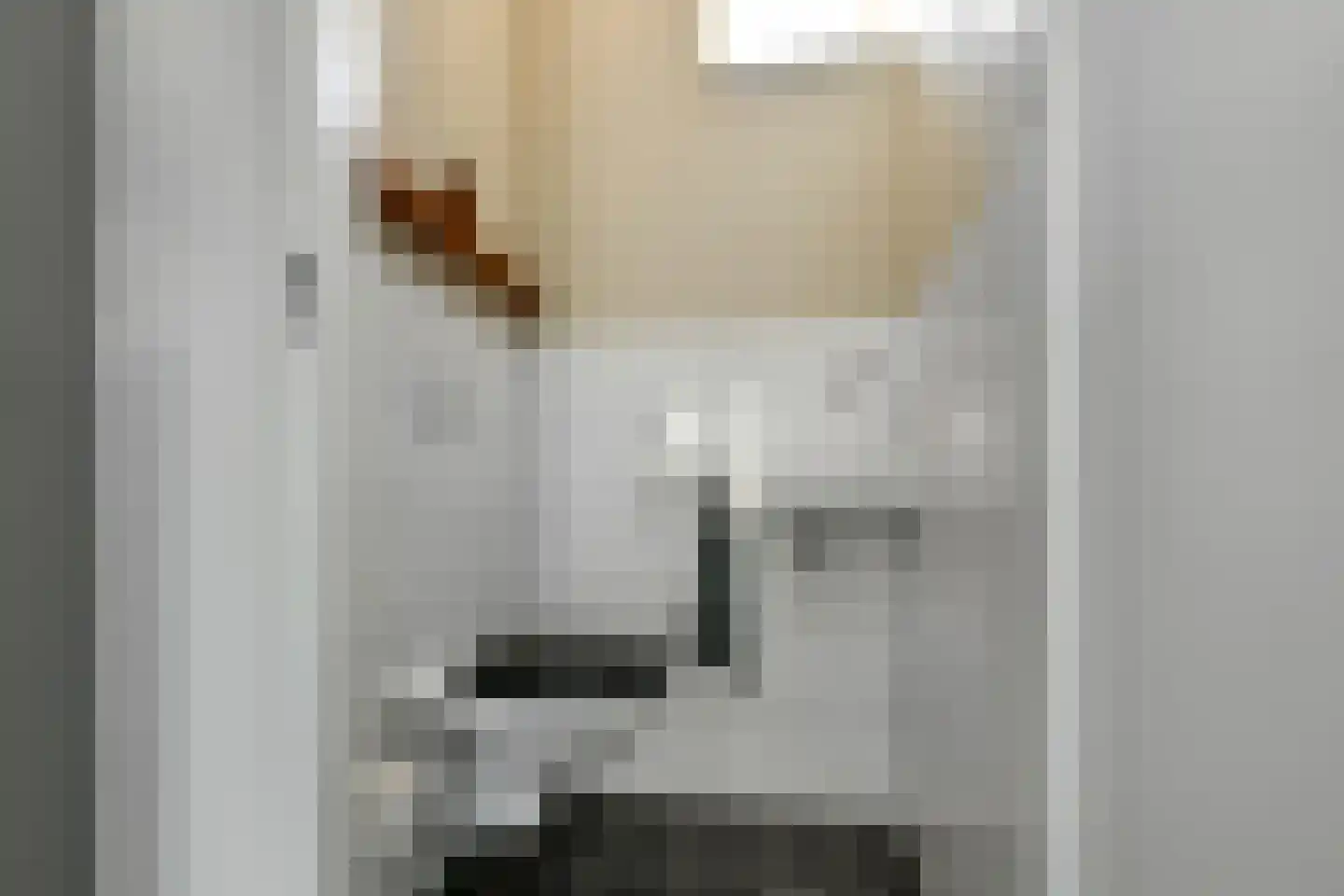 Riet 3 Elst thumbnail 22