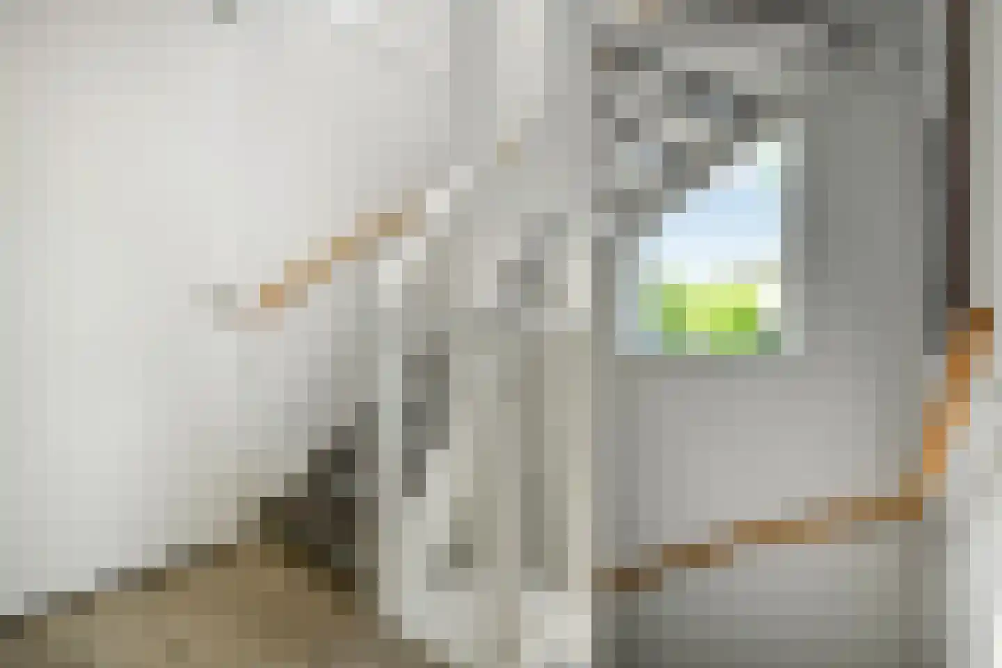 Riet 3 Elst thumbnail 23