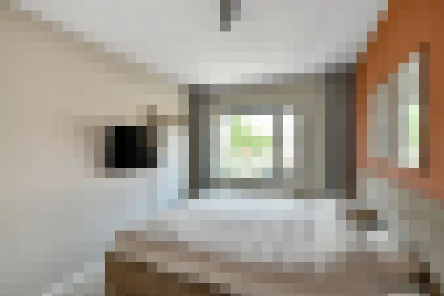 Riet 3 Elst thumbnail 25