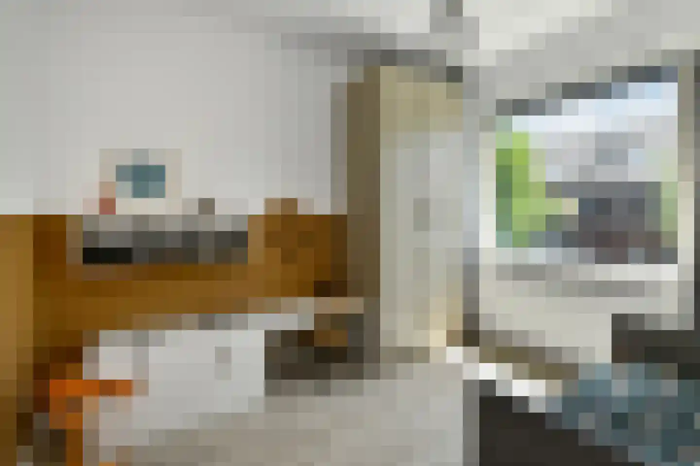 Riet 3 Elst thumbnail 26