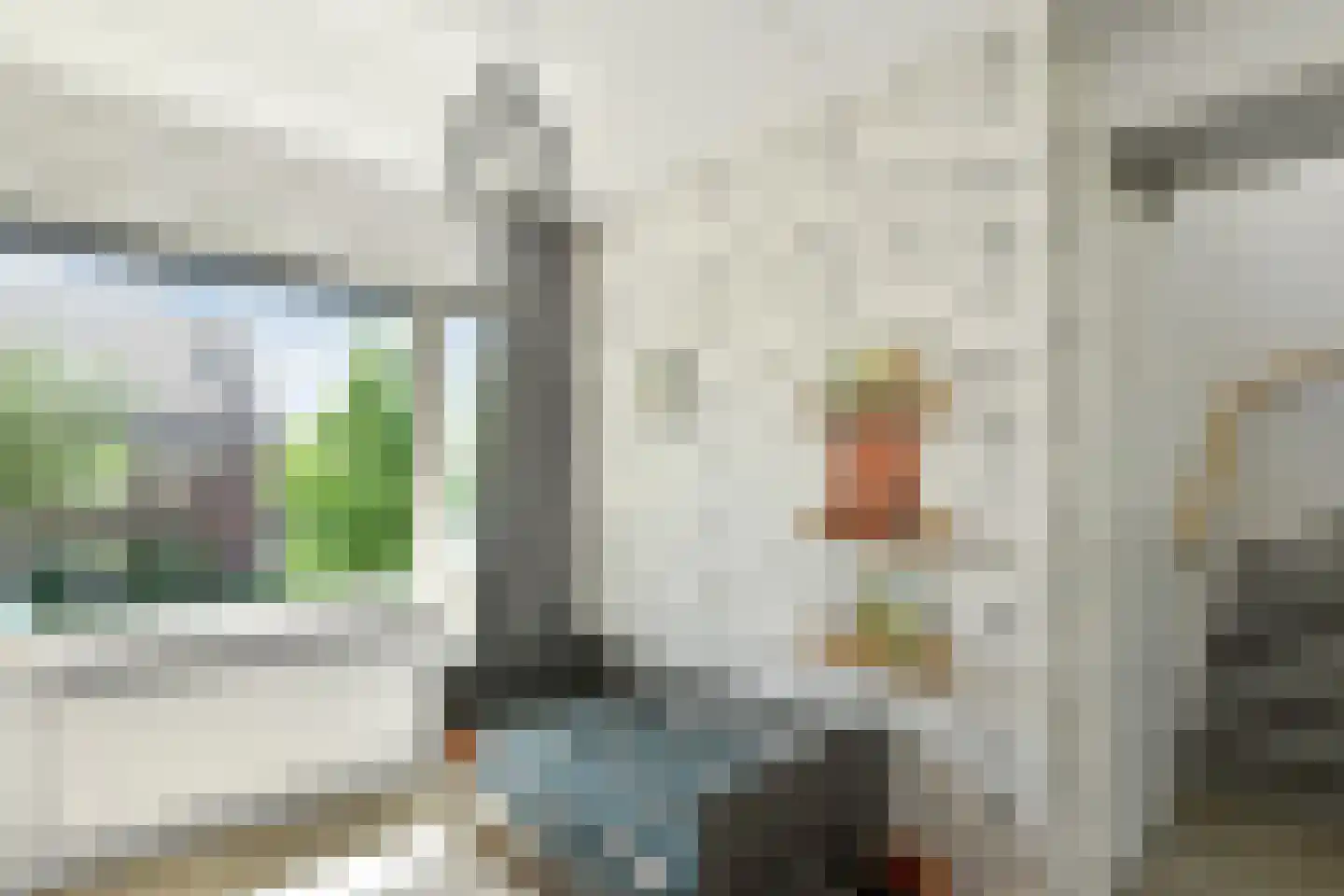 Riet 3 Elst thumbnail 27