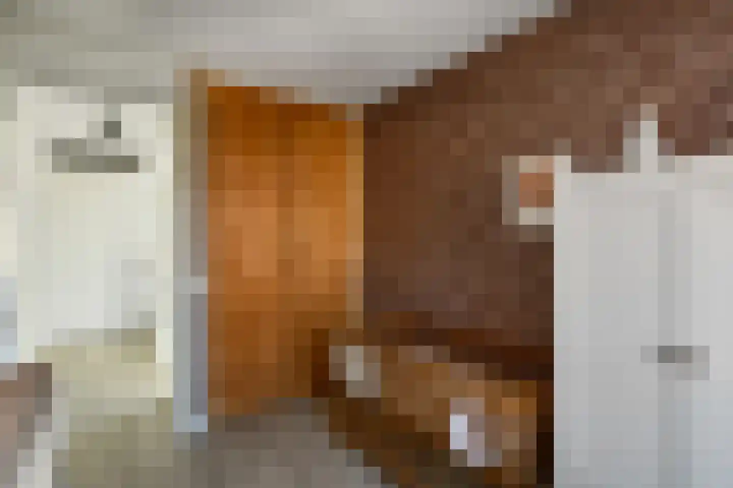 Riet 3 Elst thumbnail 29