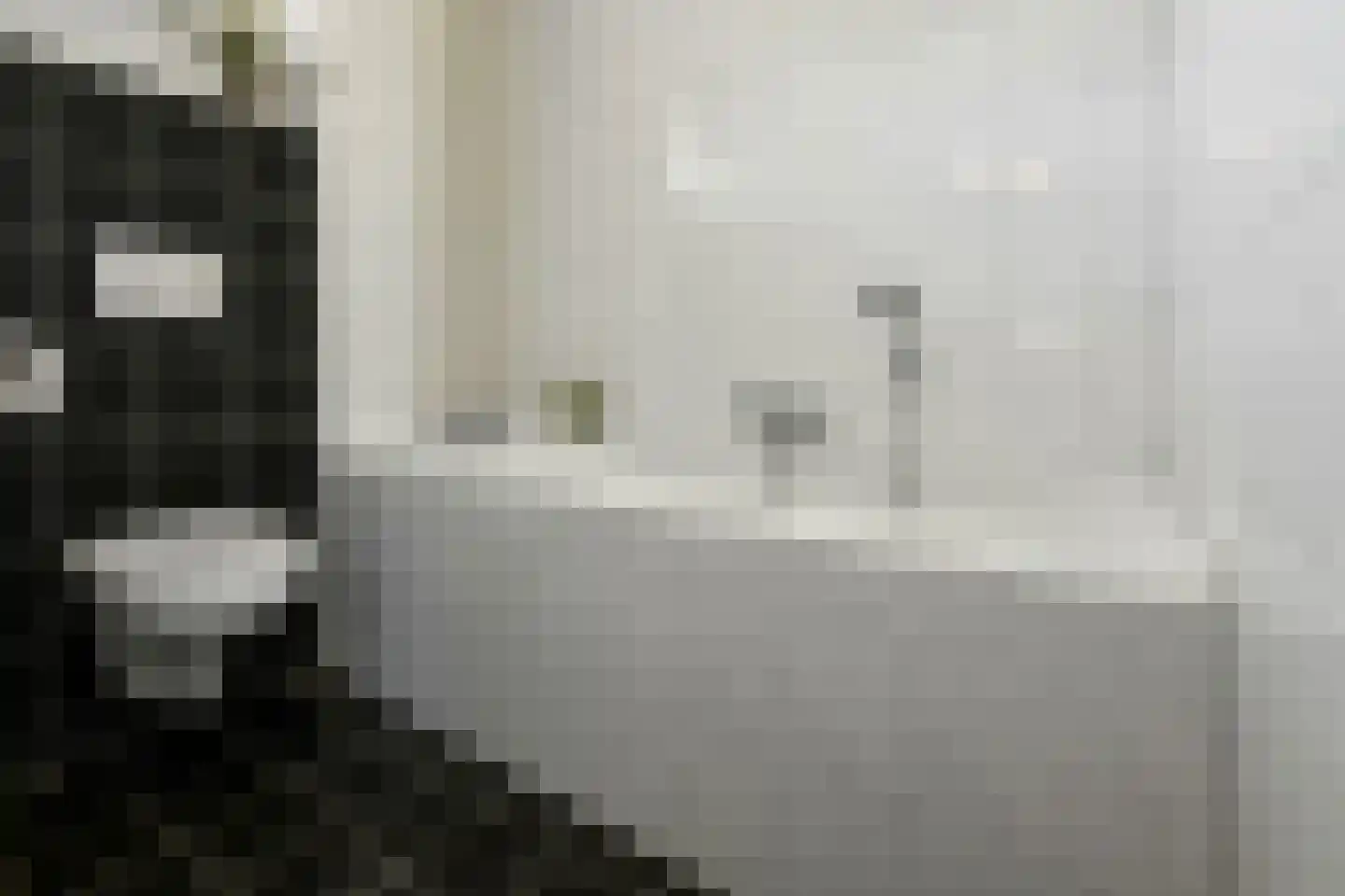 Riet 3 Elst thumbnail 31