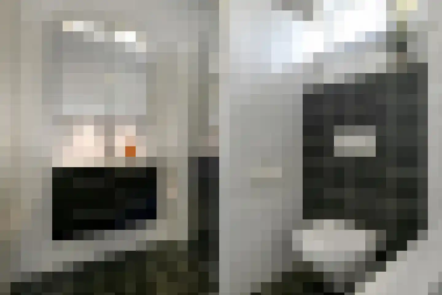 Riet 3 Elst thumbnail 32