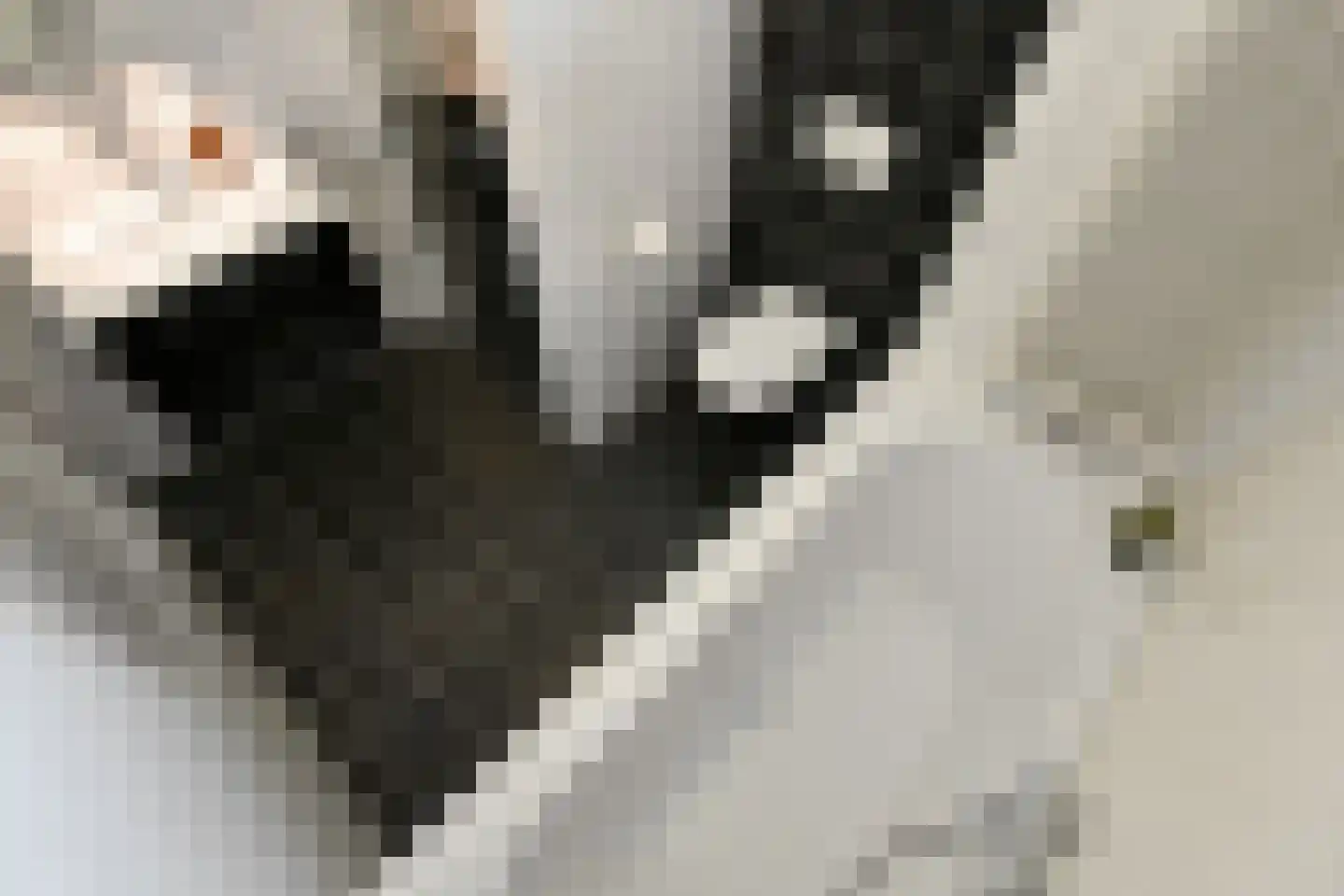 Riet 3 Elst thumbnail 33