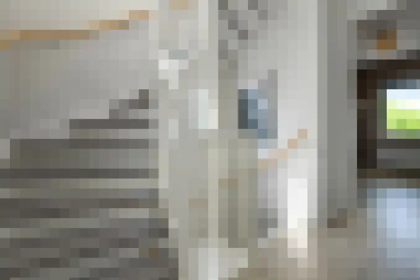 Riet 3 Elst thumbnail 34