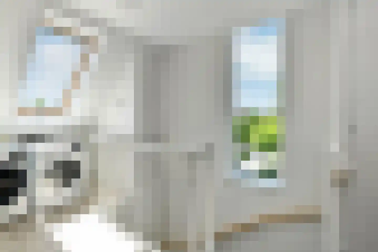 Riet 3 Elst thumbnail 35