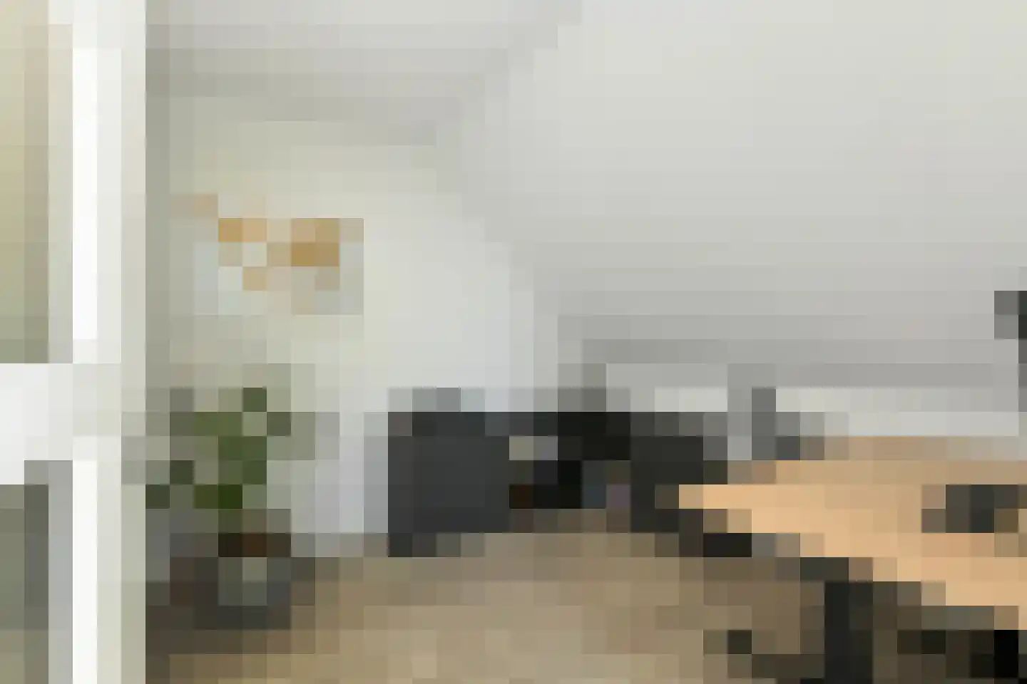 Riet 3 Elst thumbnail 39