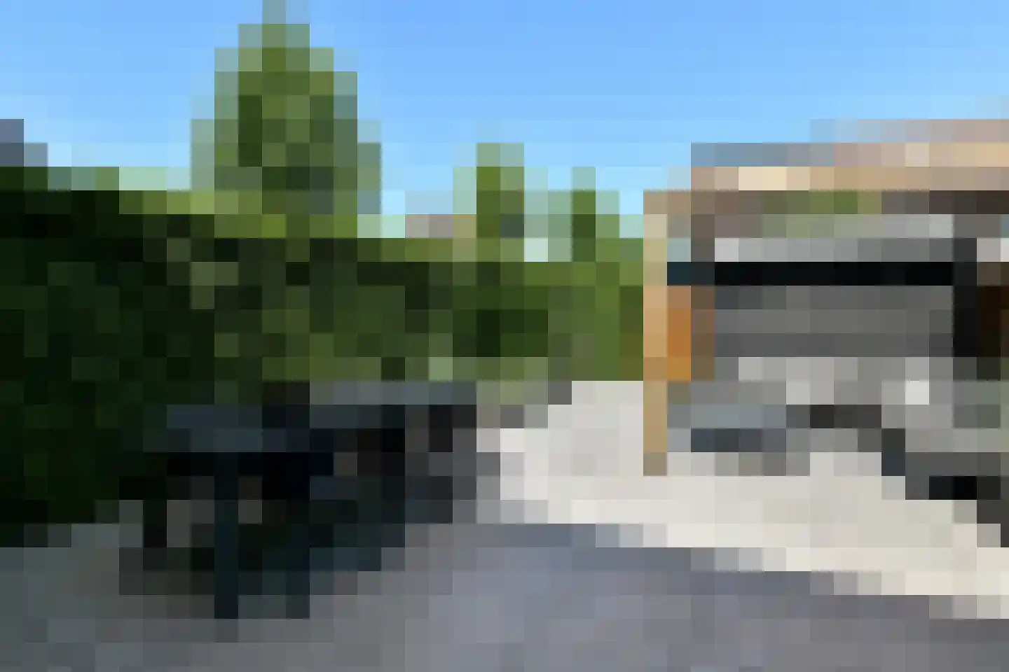 Riet 3 Elst thumbnail 41