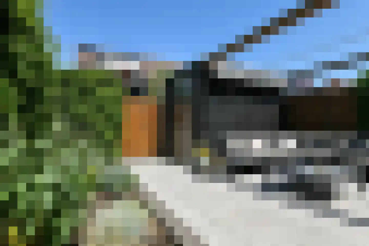 Riet 3 Elst thumbnail 44