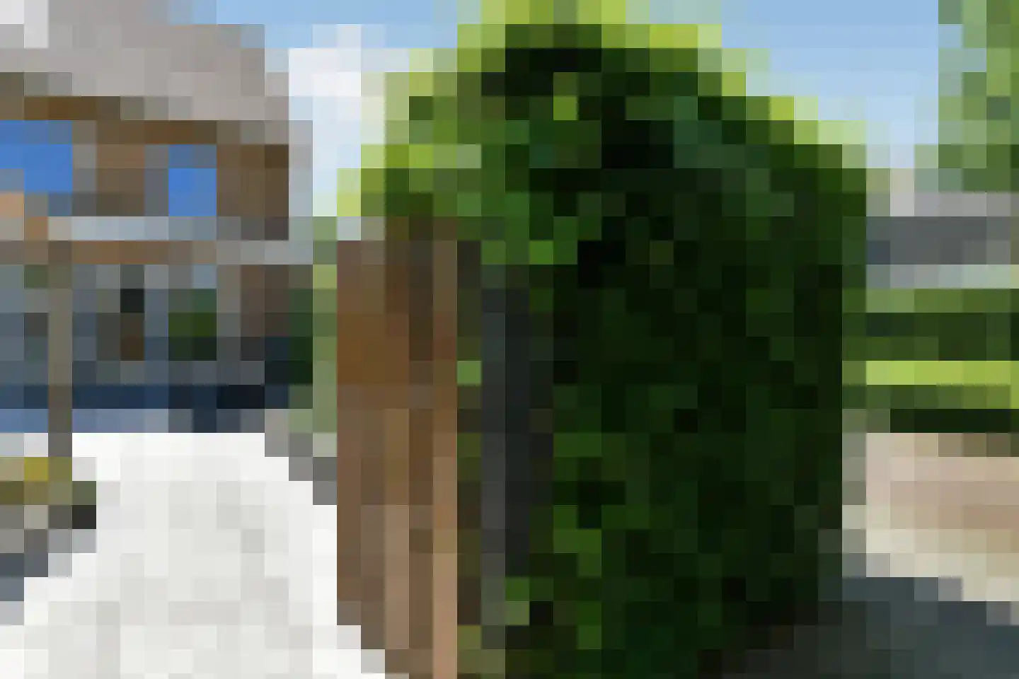 Riet 3 Elst thumbnail 48