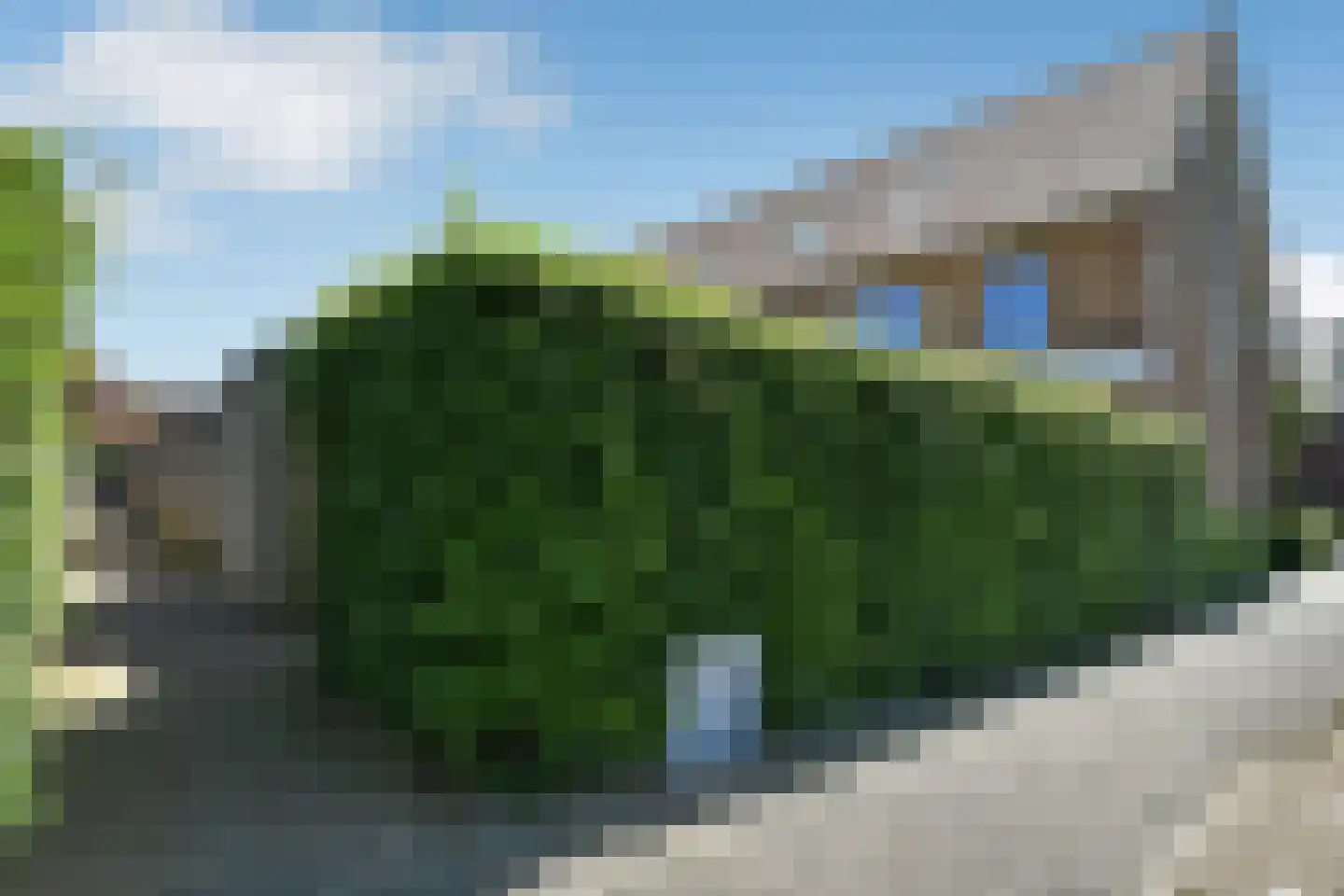 Riet 3 Elst thumbnail 49