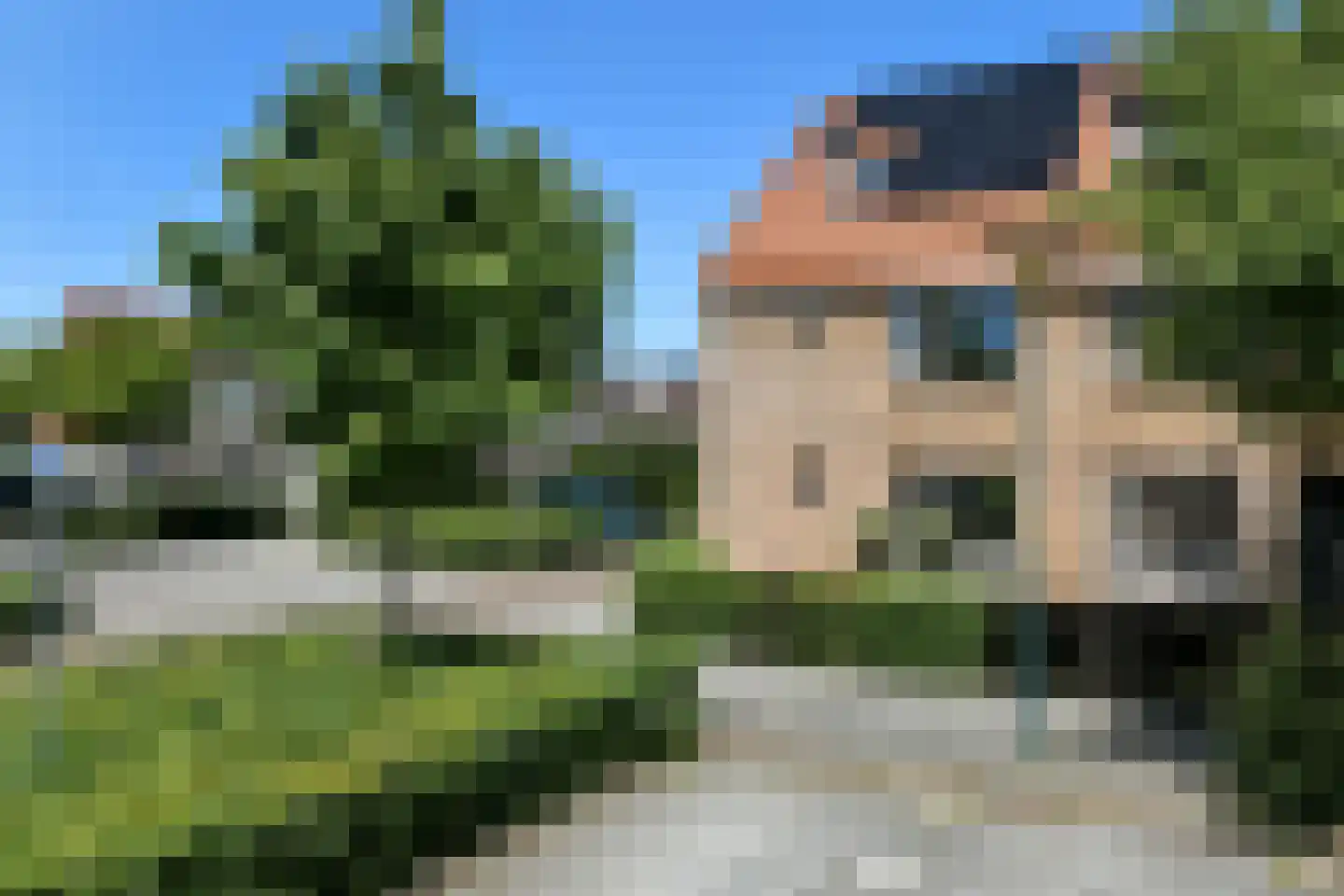 Riet 3 Elst thumbnail 5