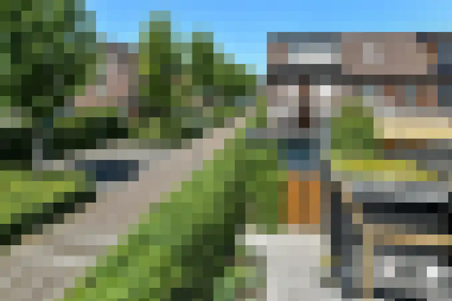 Riet 3 Elst thumbnail 51