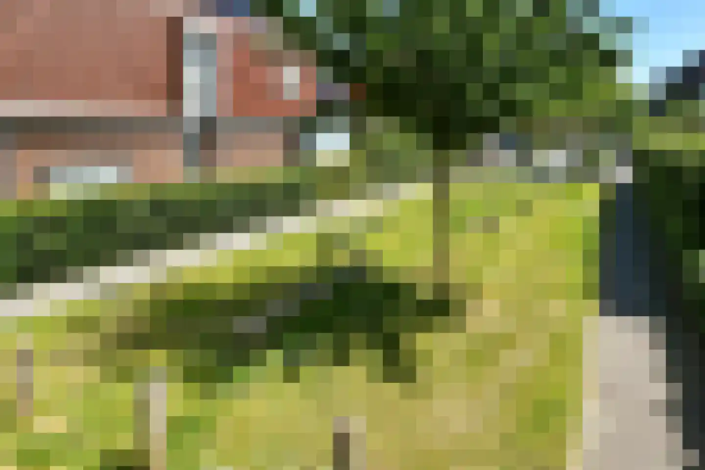 Riet 3 Elst thumbnail 52