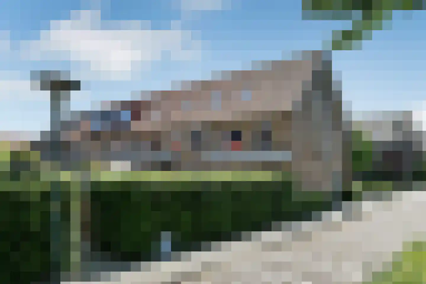Riet 3 Elst thumbnail 7