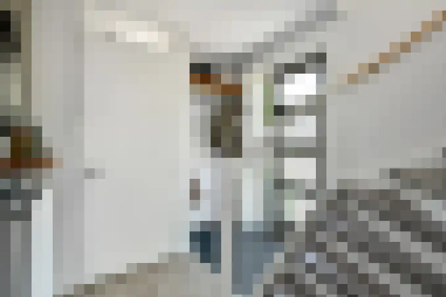 Riet 3 Elst thumbnail 9