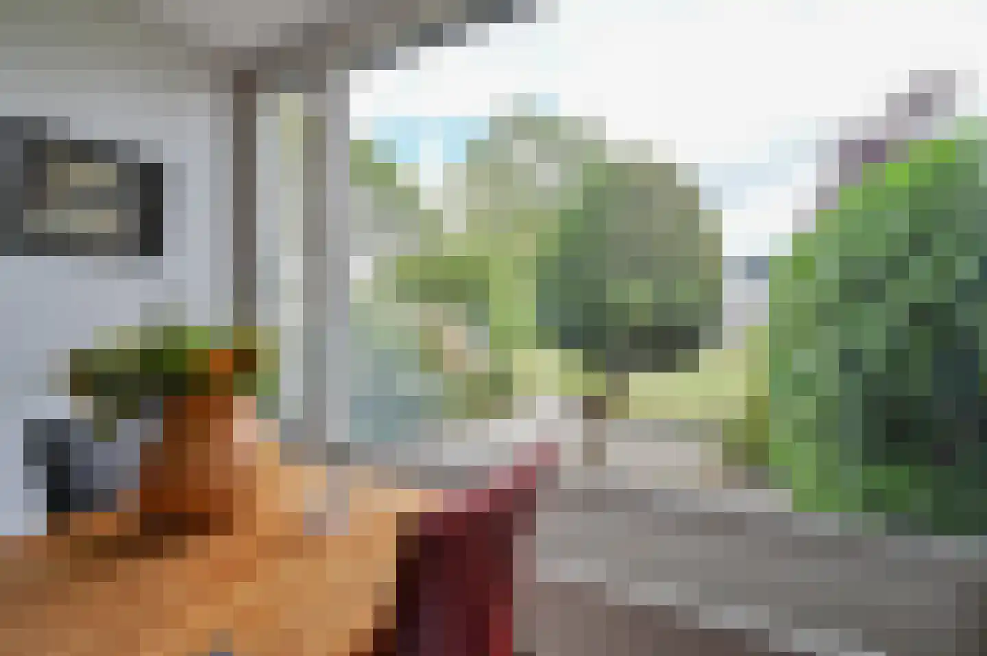 Riet 4 Uithoorn thumbnail 10