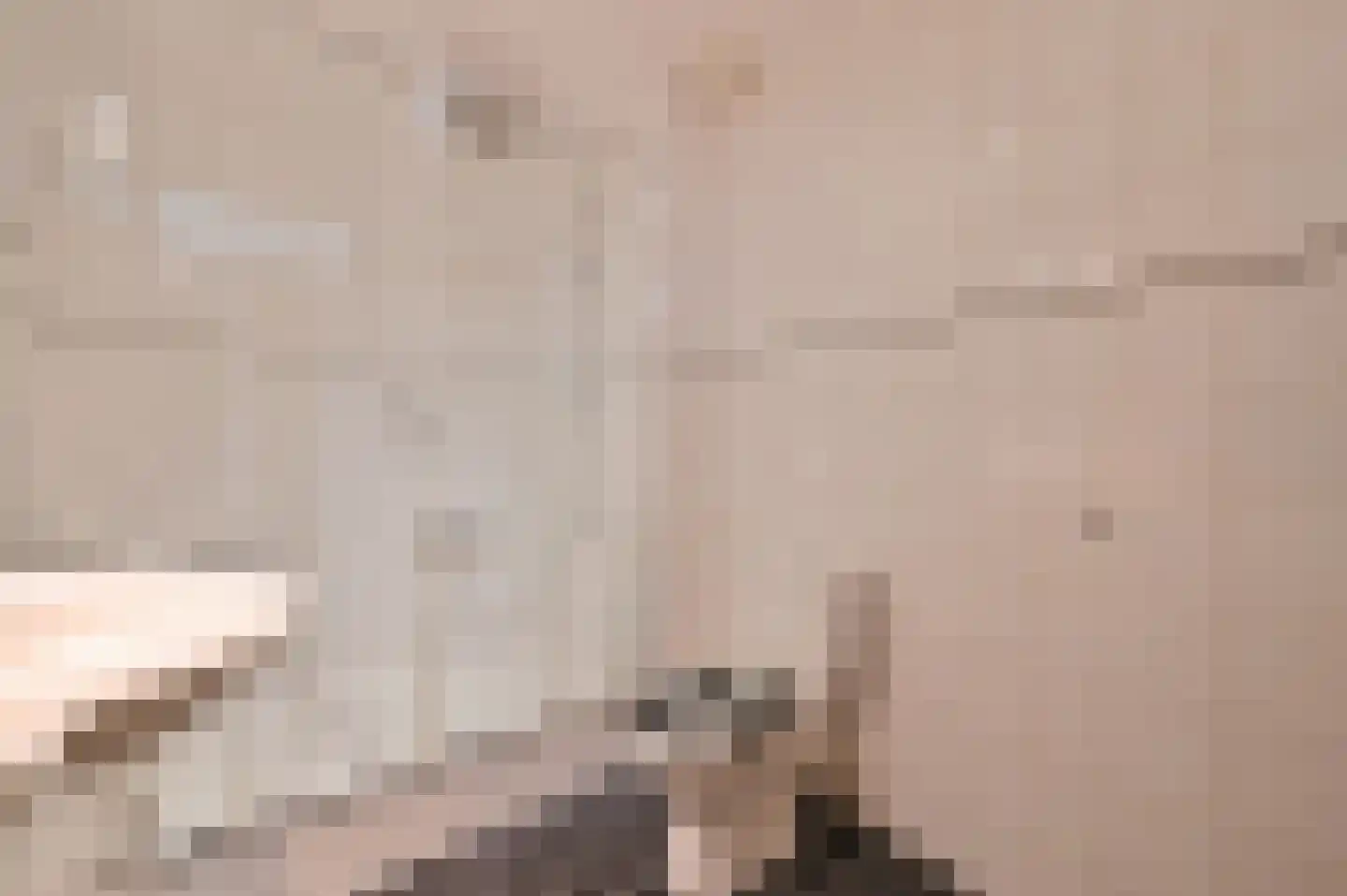 Riet 4 Uithoorn thumbnail 19