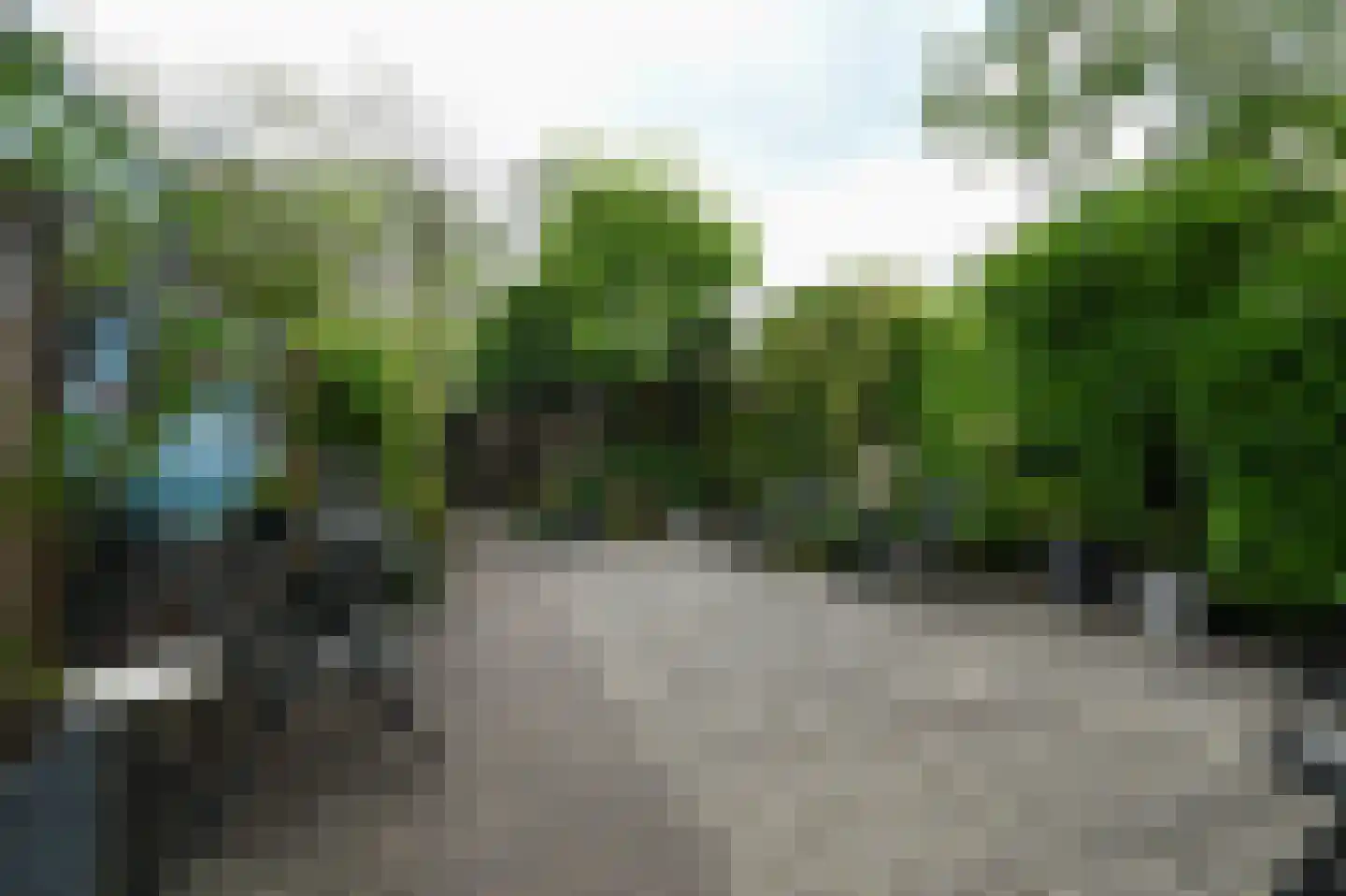 Riet 4 Uithoorn thumbnail 20
