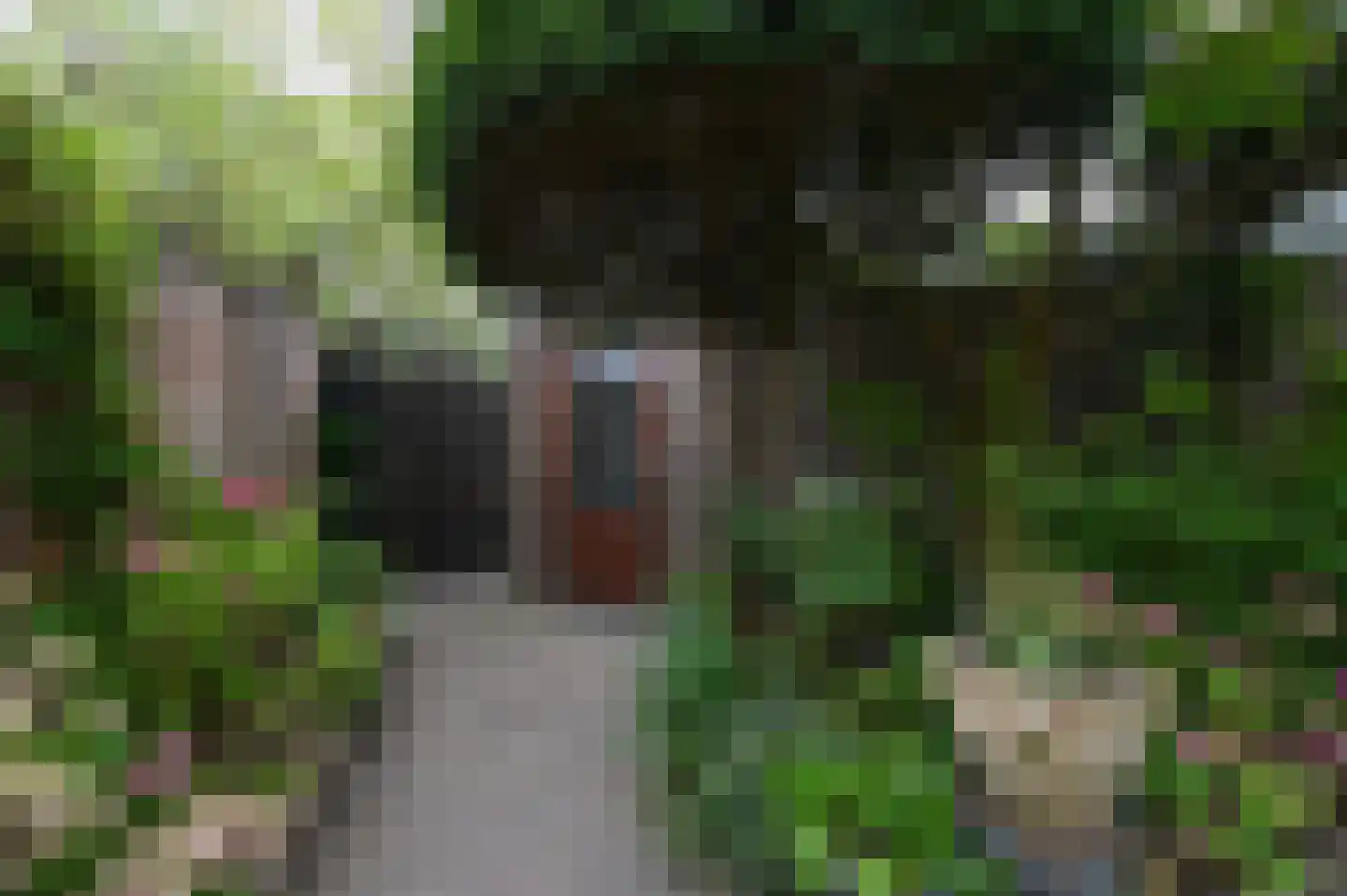 Riet 4 Uithoorn thumbnail 21